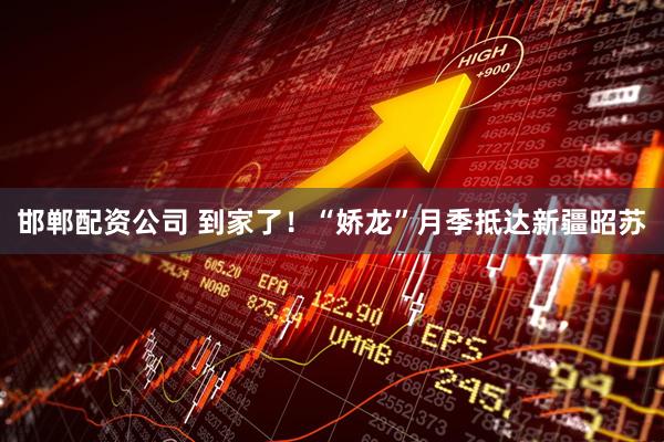 邯郸配资公司 到家了！“娇龙”月季抵达新疆昭苏