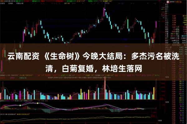 云南配资 《生命树》今晚大结局：多杰污名被洗清，白菊复婚，林培生落网