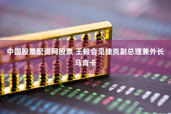 中国股票配资网股票 王毅会见捷克副总理兼外长马青卡